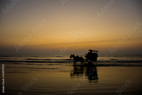 Silhouette of a horse cart running through water at a beach in India