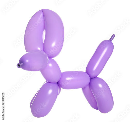 Animal figure made of modelling balloon on white background