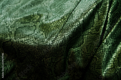 Snake skin texture