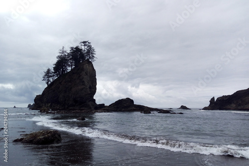 Rock Formations at Olympic National Park. USA