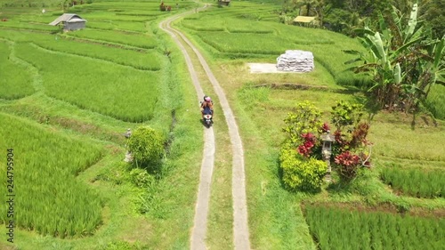 Scooter ride in the middle of a beautiful green rice field paddy in Bali while the drone circles around a couple exploring photo