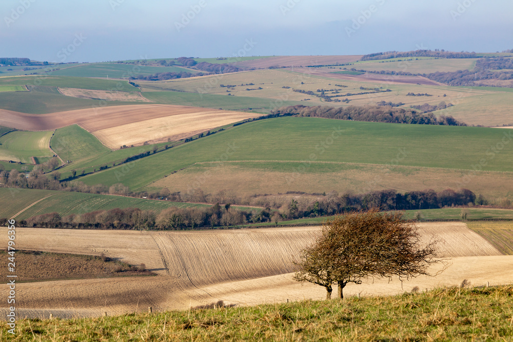 Looking out over the South Downs in Sussex on a sunny winters day