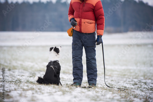 Fototapeta Naklejka Na Ścianę i Meble -  Man with border collie dog