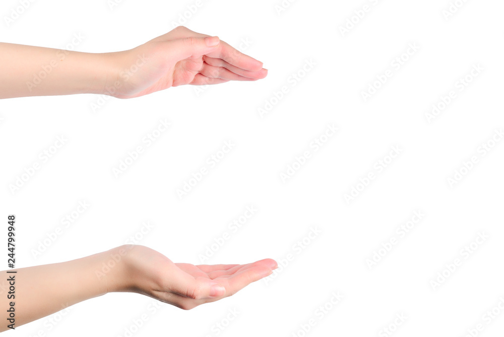 Woman hands frame symbol isolated on white. Woman hands frame symbol isolated on white.