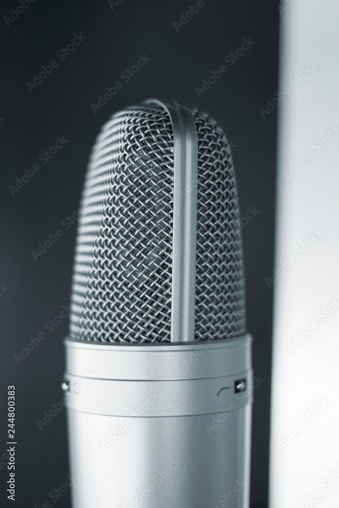 Recording studio voice microphone