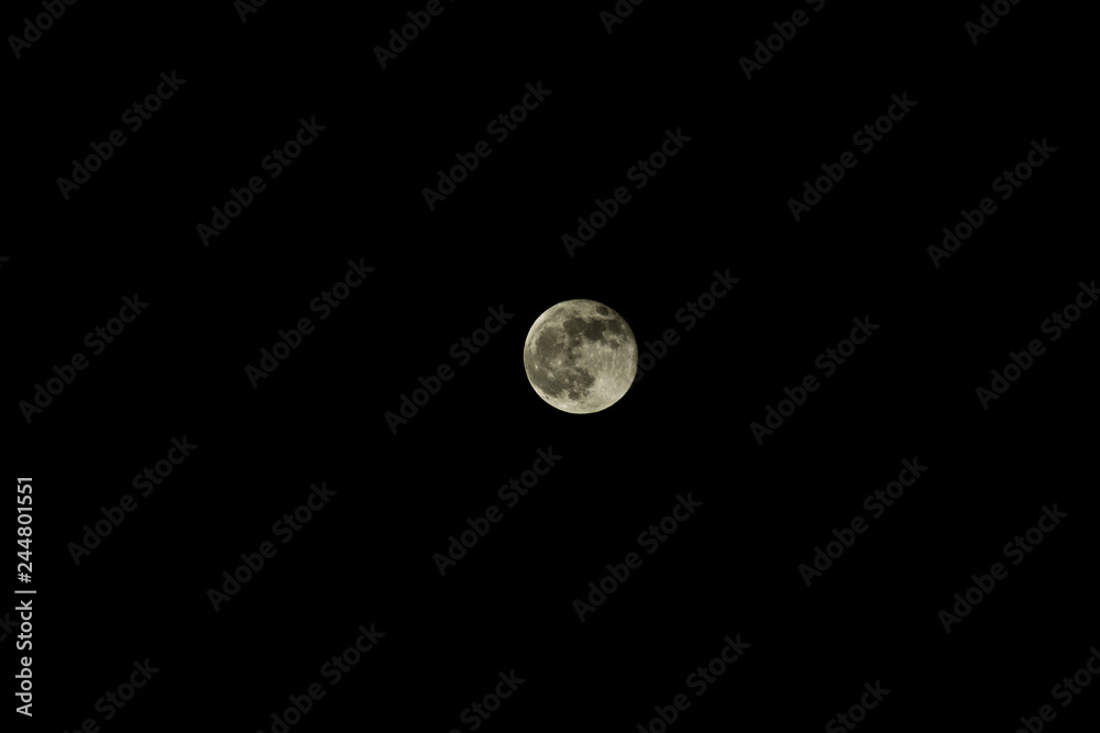 Moon Moon