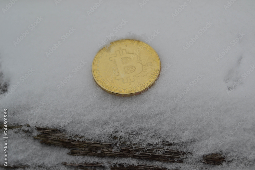 Golden bitcoin coin in snow