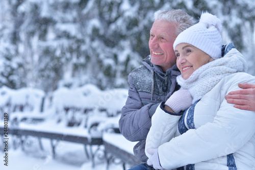 Happy senior couple posing at winter outdoors
