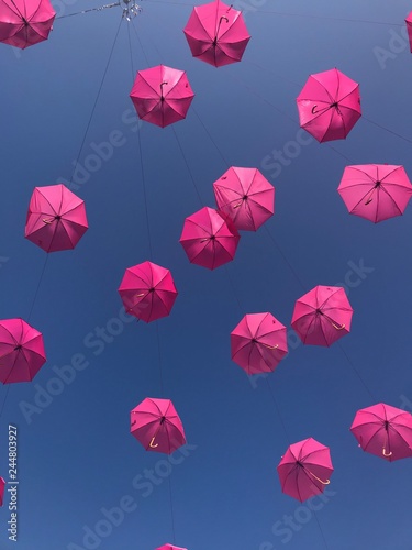 Parapluies roses