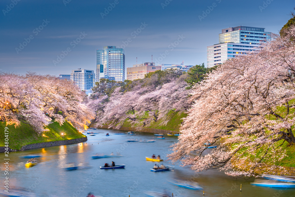 Fototapeta premium Tokyo, Japan at Chidorigafuchi Imperial Palace moat