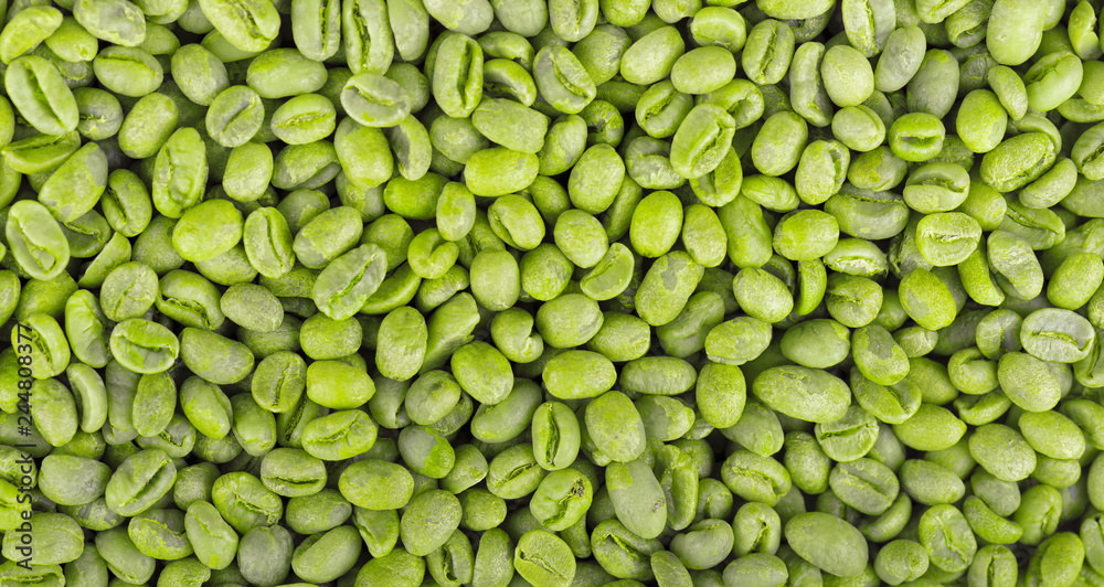 Green coffee beans background. Medium green peaberry coffee beans. Green coffee beans background. Medium green peaberry coffee beans.