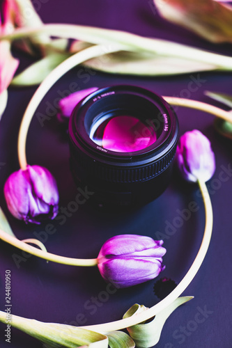 abstract purple tulip flower in vase