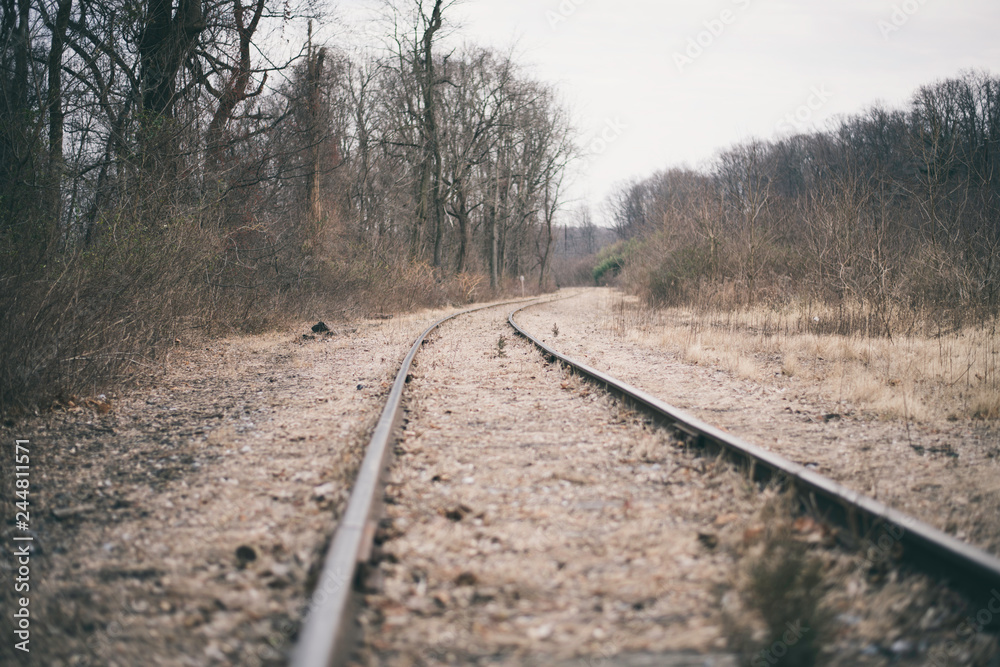 Fototapeta premium Train Tracks