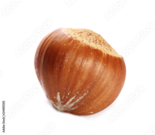 Hazelnut isolated on white, macro 