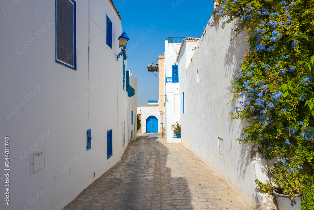 Street in a white-blue town Sidi Bou Said with blue flowers, Tunisia, North Africa