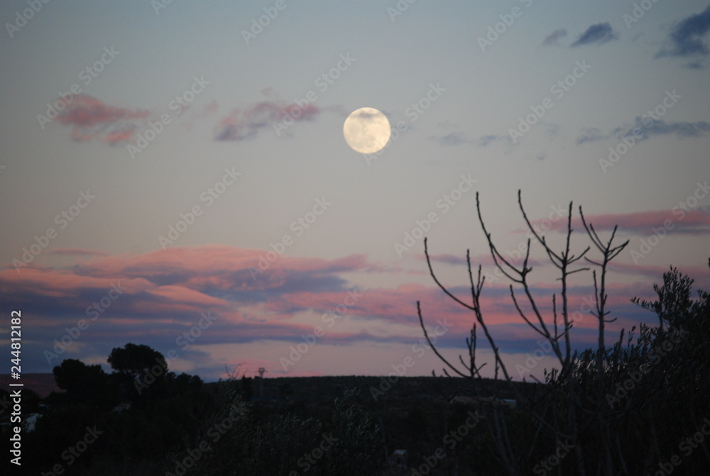 Evening Moon Landscape