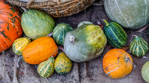 Winter Squashes and Pumpkins 1.
