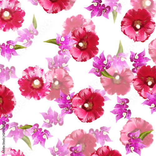 Fototapeta Naklejka Na Ścianę i Meble -  Beautiful floral background of bougainvillea and mallow 