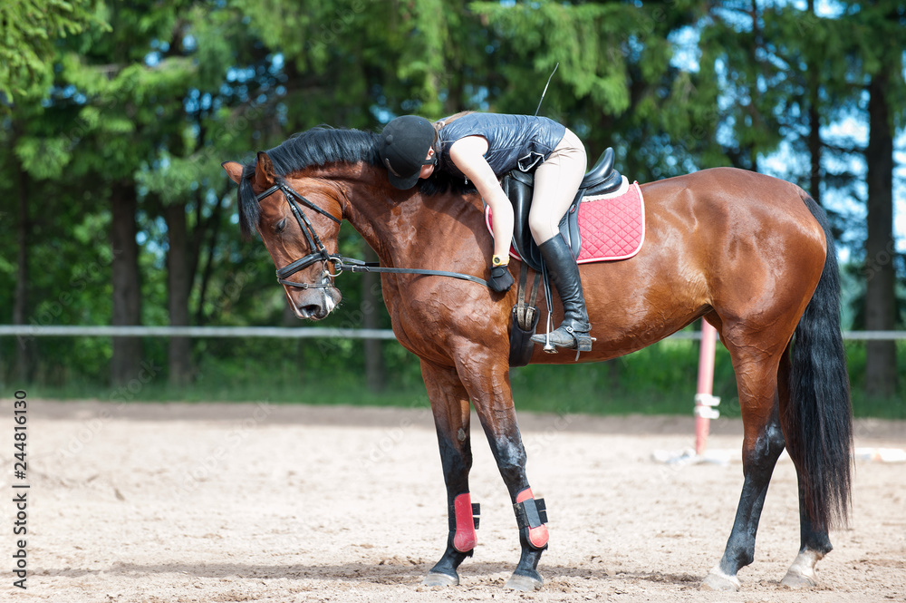 Young lady riding a horse at equestrian school. Training process