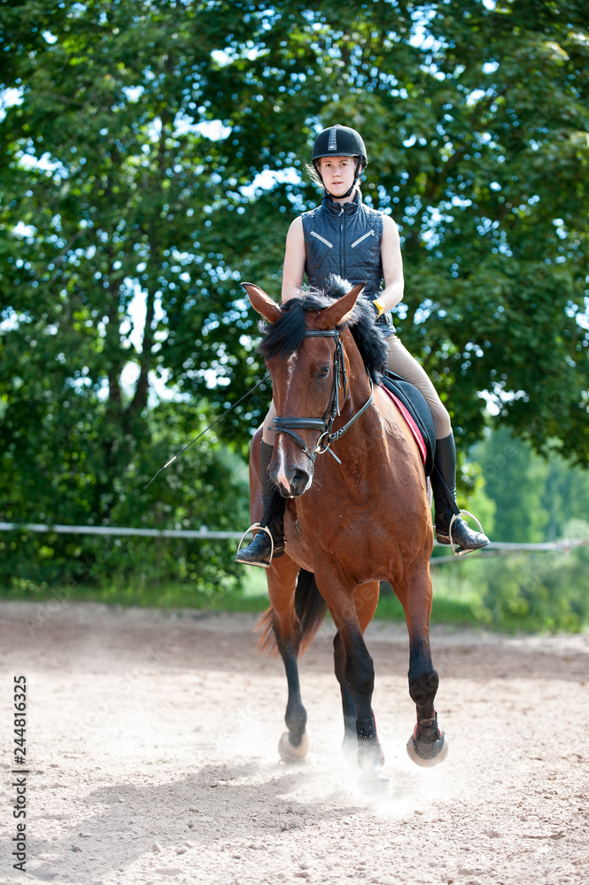Young lady riding a horse at equestrian school. Training process