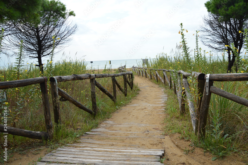Wooden road to the sea