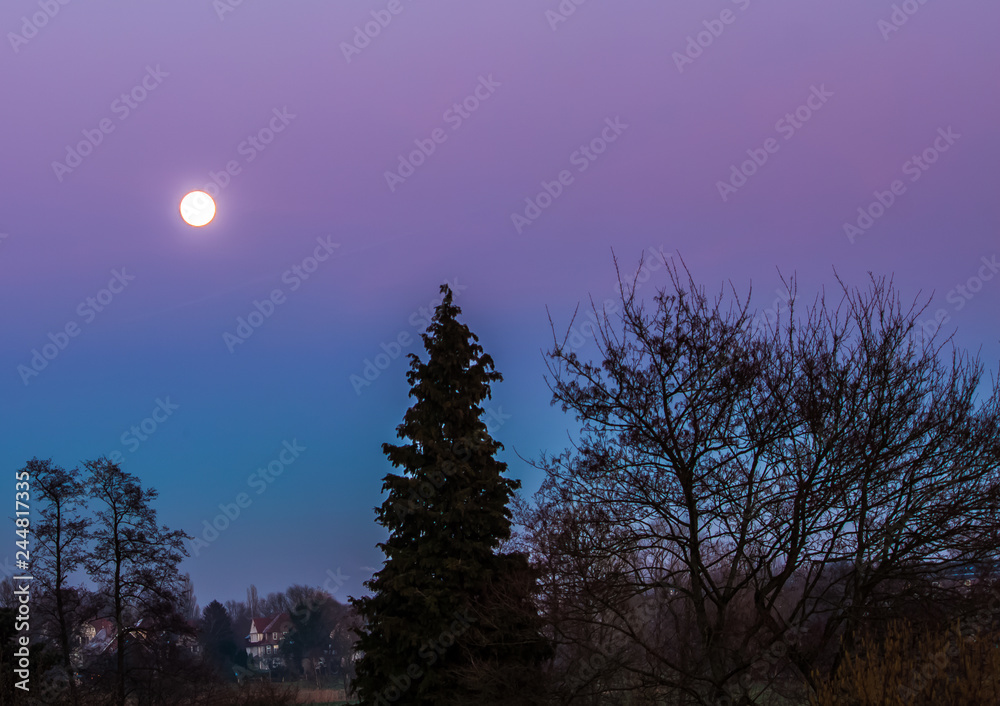 Fototapeta premium Mond im Sonnenuntergangslicht