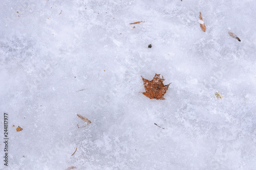 Orange autumn maple leaf covered with winter ice on ground. Goodbye autumn. Concept of beggining of winter, holidays, christrmas, new year. Hello winter! photo