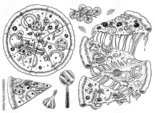 Set of pizza with cheese. Yummy italian vegetarian food with tomatoes, olives and eggplant. Sketch for restaurant menu. Hand drawn template. Vintage style.