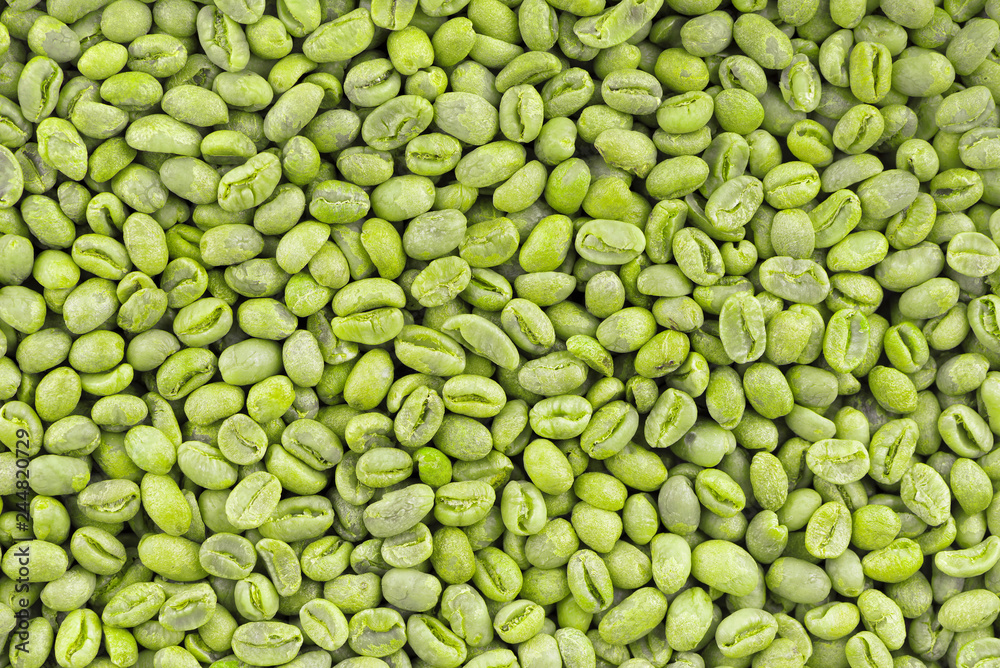 Green coffee beans background. Medium green peaberry coffee beans.