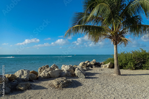 Palmtree, ocean and beach, Key West, Florida
