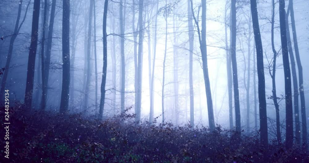 Fantasy blue pink coloured foggy fairytale forest with magic firefly lights background. Fantasy blue pink coloured foggy fairytale forest with magic firefly lights background.