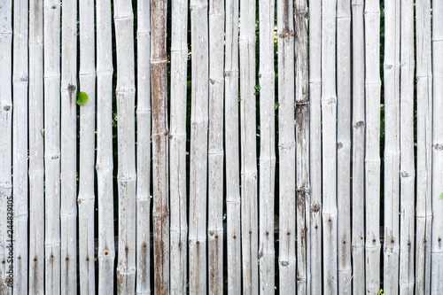 Bamboo fence wall background and texture.