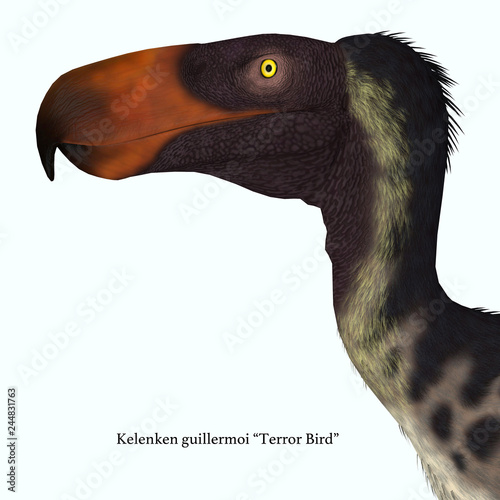 Kelenken Bird Head with Font - Kelenken was a carnivorous Terror bird that lived in Argentina during the Miocene Period. photo