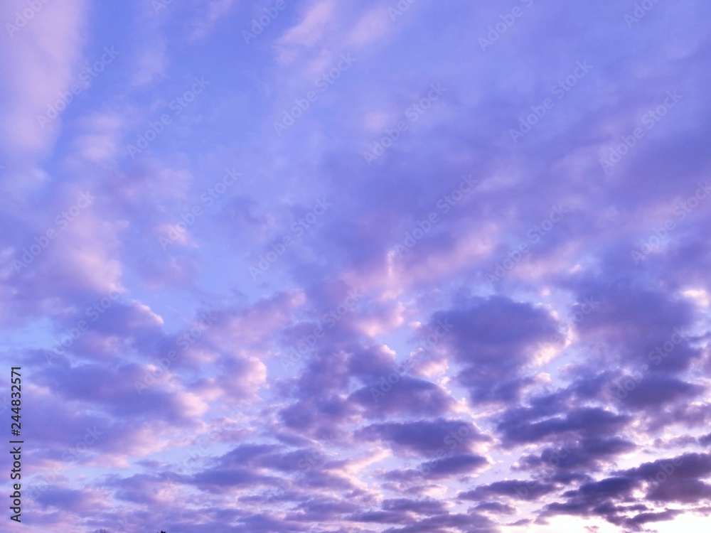冬の朝焼け　鱗雲　鰯雲