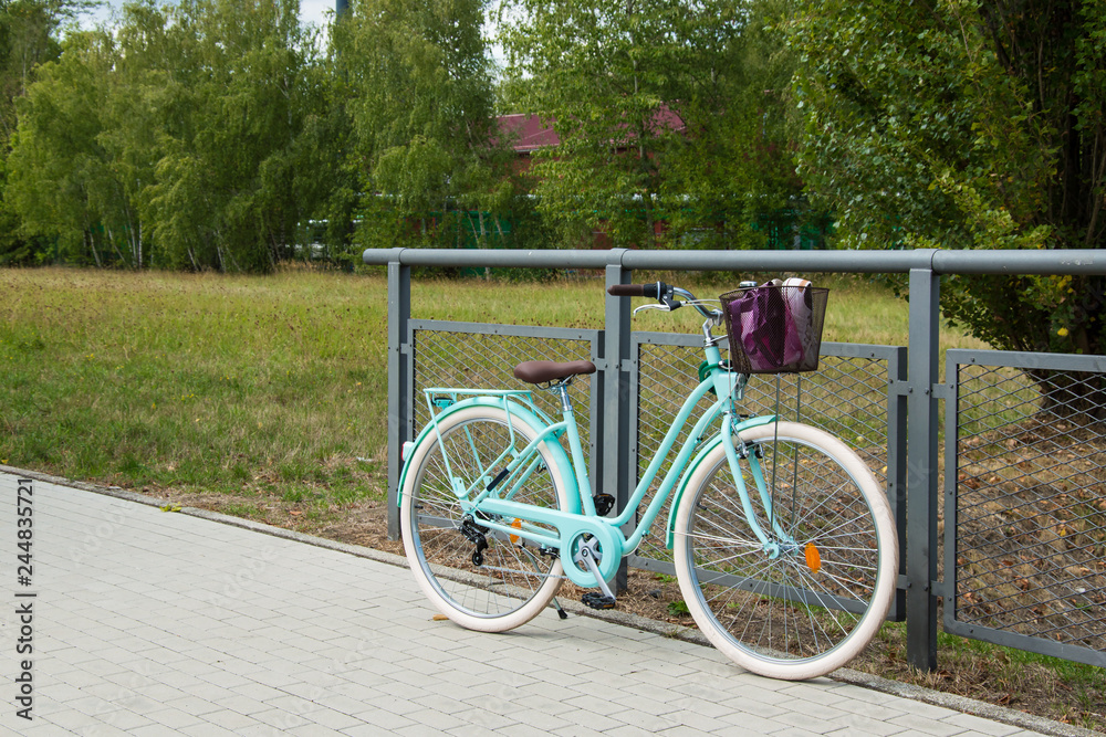 Retro Dutch bike near the iron fence