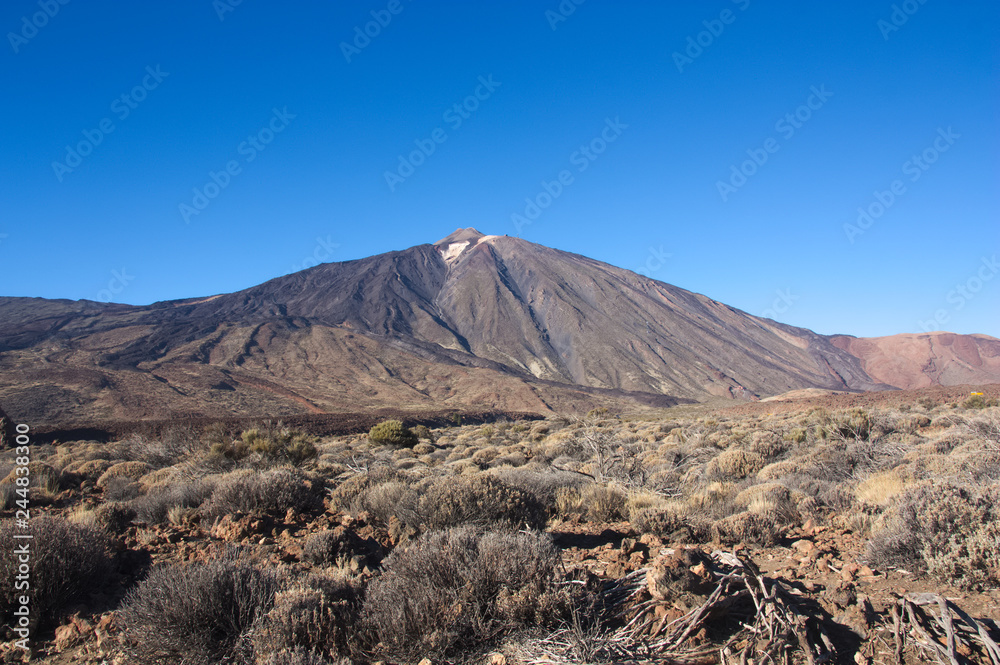 Teide geological monument in the Santa Cruz de Tenerife national park