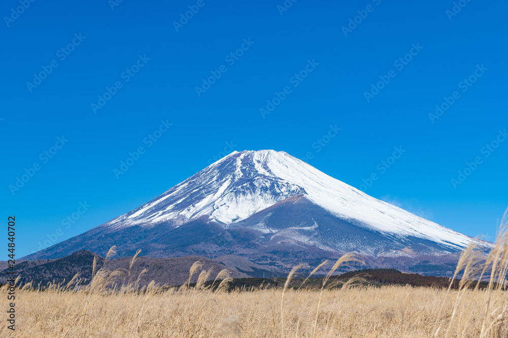 Fototapeta premium 冬の富士山 静岡県裾野市