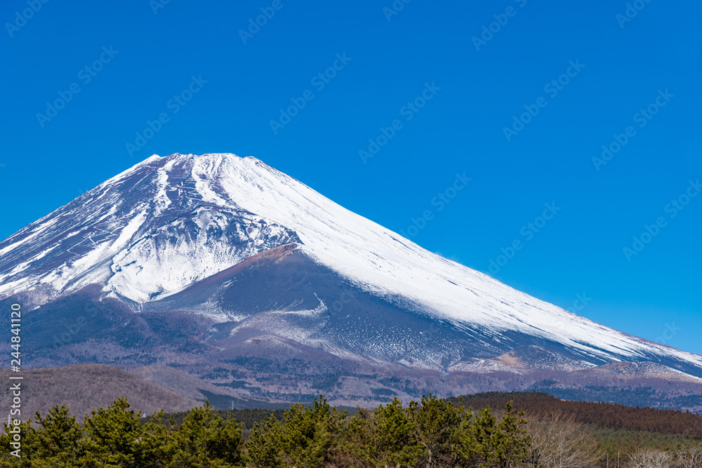 冬の富士山　静岡県裾野市