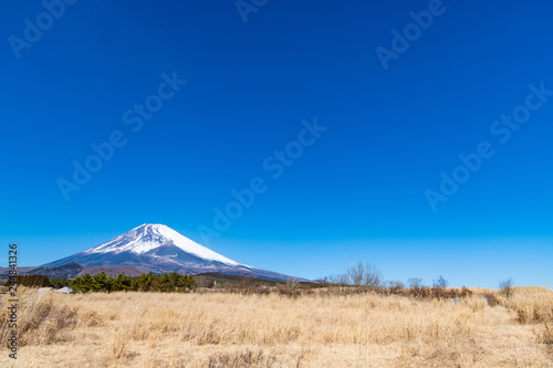 冬の富士山 静岡県裾野市