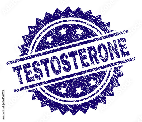 TESTOSTERONE stamp seal watermark with distress style. Blue vector rubber print of TESTOSTERONE label with corroded texture.