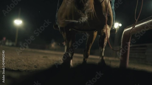 Horses legs running photo