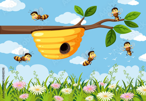 Bee in the nature background