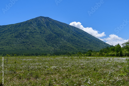 初夏の戦場ヶ原と男体山