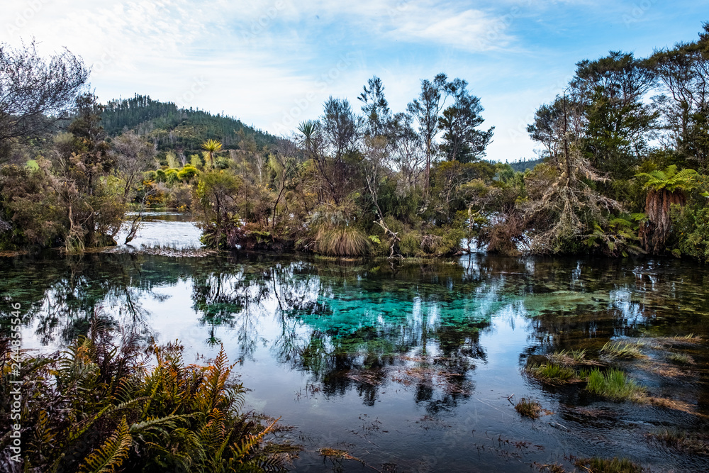 Beautiful natural Waikoropupu  springs. Takaka, New Zealand.
