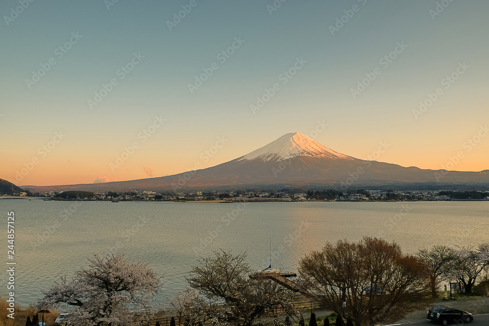 Mount Fuji with snow capped, twilight sky and beautiful Cherry Blossom or pink Sakura flower tree in Spring Season at Lake kawaguchiko, Yamanashi, Japan. landmark and popular for tourist attractions