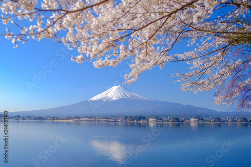 Mount Fuji with snow capped, blue sky and beautiful Cherry Blossom or pink Sakura flower tree in Spring Season at Lake kawaguchiko, Yamanashi, Japan. landmark and popular for tourist attractions © Jo Panuwat D