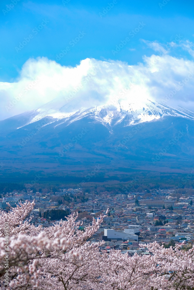Mount Fuji, blue sky and beautiful Cherry Blossom or pink Sakura flower tree in Spring Season at Fujiyoshida, Japan. landmark and popular for tourist attractions