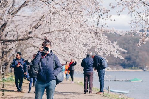 Photography Happy Young Woman traveling with beautiful pink Cherry Blossom  at Kawaguchiko lake, Yamanashi