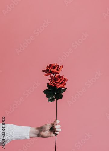Fototapeta Naklejka Na Ścianę i Meble -  Giving a rose for Valentines day
