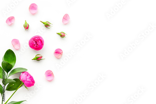 Rose flowers background. Rose roses on white background top view space for text border